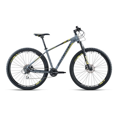 BOTTECCHIA 116